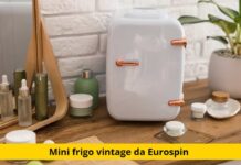 Eurospin regala un viaggio nel passato: il mini-frigo retrò anni ’60 per un design unico e irresistibile!