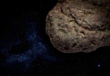 Finalmente una Certezza nell’Universo: Scopri il Feed che Ti Sorprenderà!