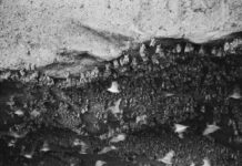 Il bizzarro piano di guerra degli USA: Quando le armi diventano così assurde da essere surreali