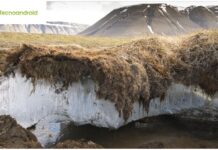 Incredibile Ritrovamento nel Permafrost: Forme di Vita Sconosciute da 46.000 Anni!