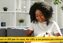 LIDL rivoluziona il tuo feed con l’accessorio pazzesco a soli €5: il perfetto mix di design e comodità che divide l’opinione pubblica!