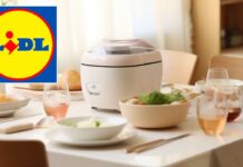 La favolosa LIDL: un’alleata imperdibile per dieta, palestra e vita quotidiana, con elettrodomestici da professionisti a prezzi convenienti!