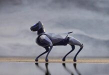 La rivoluzione open-source: il futuro evoluto e leggero del feed che coinvolge ogni lettore