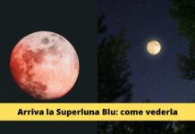 Lo spettacolo imperdibile di Spunta la Super Luna Blu: ammira la potenza e la bellezza della Natura con i nostri consigli per goderti al meglio questa meraviglia celeste