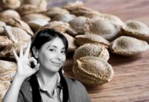Noccioli di albicocca: scopri come trasformarli in vere gemme preziose!