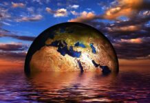 Oceani in fiamme: il nuovo record di temperatura minaccia la vita marina e il clima globale