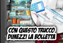 Risparmia soldi sulla bolletta grazie al trucco geniale del frigorifero: scopri come dimezzarla con una semplice bottiglia d’acqua | Segui il nostro consiglio e risparmia oggi stesso!