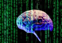 Scioccante sviluppo scientifico: IA impiantata nel cervello riporta il movimento a un paraplegico!