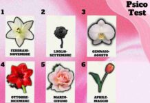Scopri il fiore del mese che ti rappresenta: lasciati affascinare dal suo profilo!