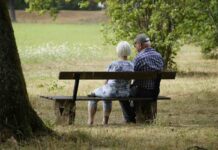 Scopri l’aumento delle pensioni, ma attenzione a controllare questo dettaglio sul tuo cedolino | Non lasciarti ingannare