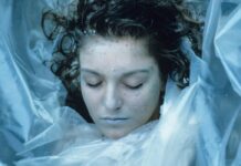 Twin Peaks: Into the Night – L’incubo gratuito in stile PS1 che catturerà i fan di David Lynch!