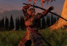 Uno spettacolare cosplay Khajit da celk4e svela un’armatura epica in The Elder Scrolls Online: da non perdere per tutti gli appassionati!