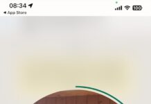 WhatsApp si aggiorna: scopri i videomessaggi istantanei che cambieranno per sempre le tue conversazioni!