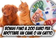 Adotta un amico a quattro zampe e ricevi un bonus fino a 200 euro: il generoso comune che ti premia per l’amore per gli animali!