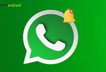 Alla scoperta della rivoluzionaria novità che devi assolutamente conoscere: un feed esplosivo di interessi!