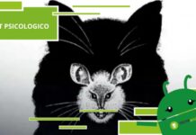 Il test definitivo: Scopri se sei un gatto dominante o un topo sempre in fuga!