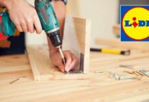 Terminetor Indomabile: LIDL sorprende e recluta Arnold Schwarzenegger come portavoce della linea Parkside, rivoluzionando il DIY e distruggendo i prezzi!