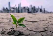 Una stima sconvolgente: il prezzo delle vite umane